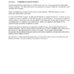 Traffic Troopers Safety Manual-page-004